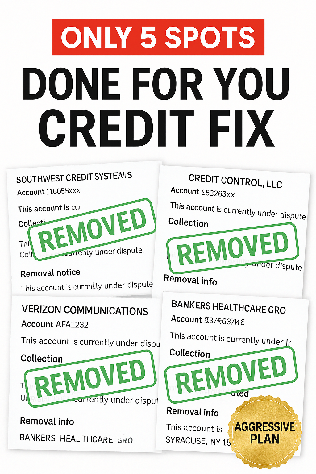 VIP Aggressive Credit Repair Plans